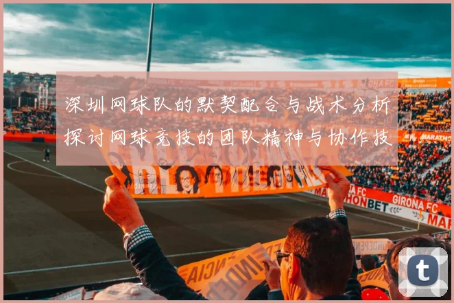 深圳网球队的默契配合与战术分析探讨网球竞技的团队精神与协作技巧