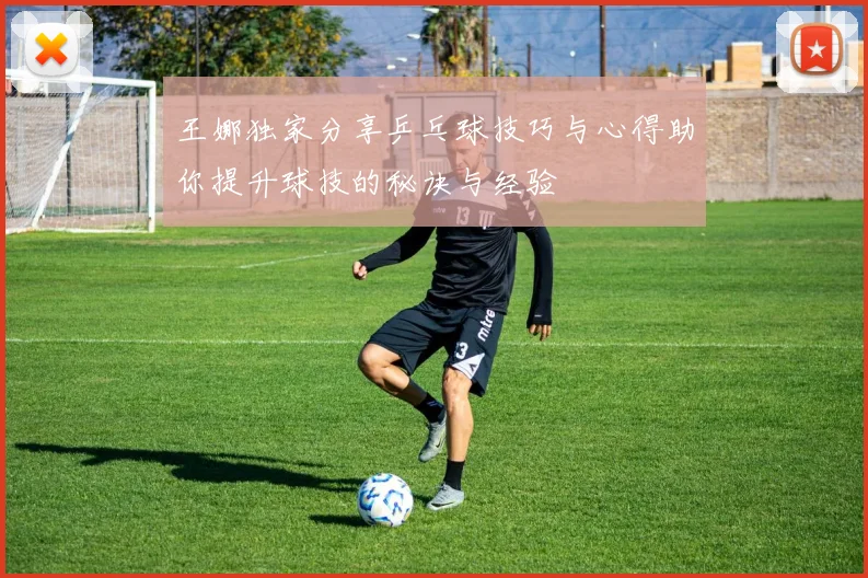 王娜独家分享乒乓球技巧与心得助你提升球技的秘诀与经验