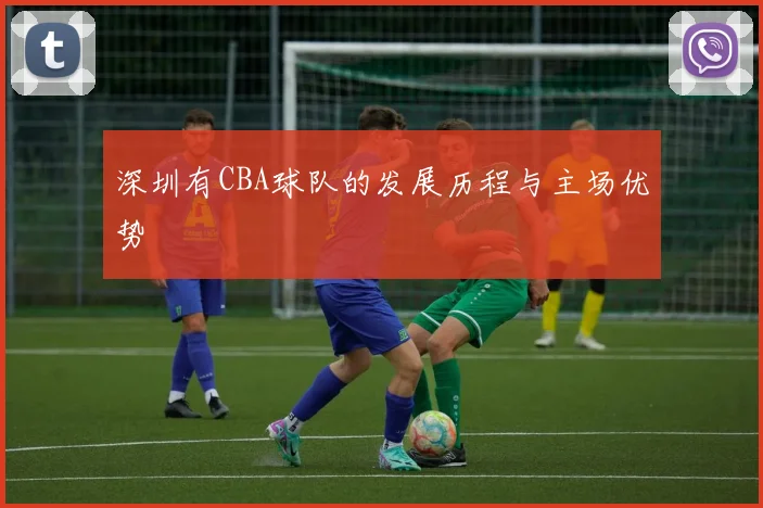深圳有CBA球队的发展历程与主场优势